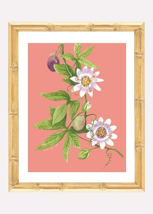 Passionflower Watercolor 5x7" Print
