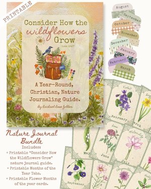 Consider How the Wildflowers Grow Christian Nature Journal Guide by Rachael Rose Zoller Nature Study Homeschool PRINTABLE KIT
