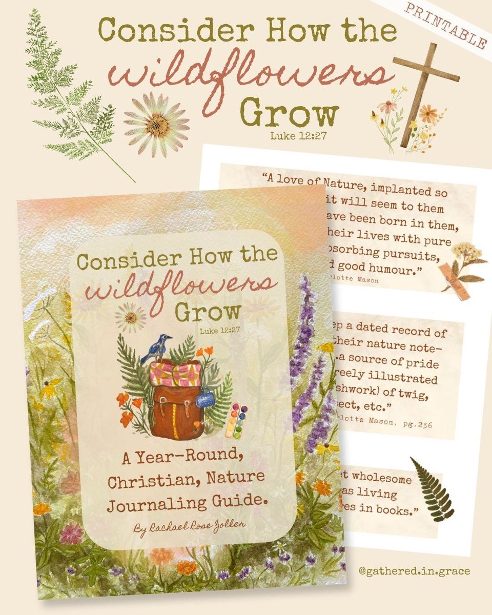 Consider How the Wildflowers Grow Christian Nature Journal Guide by Rachael Rose Zoller Nature Study Homeschool PRINTABLE KIT