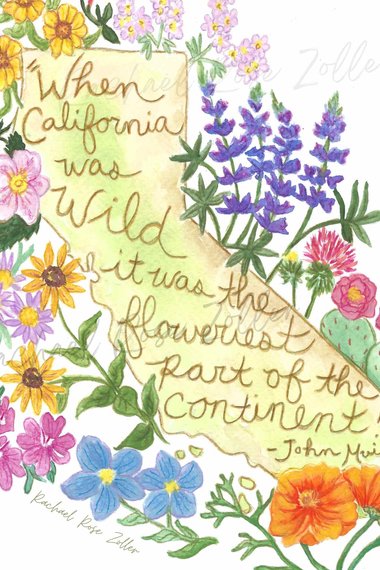 California Flowers 5x7" Print