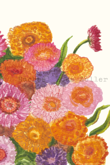Strawflower Watercolor Print 8x10"